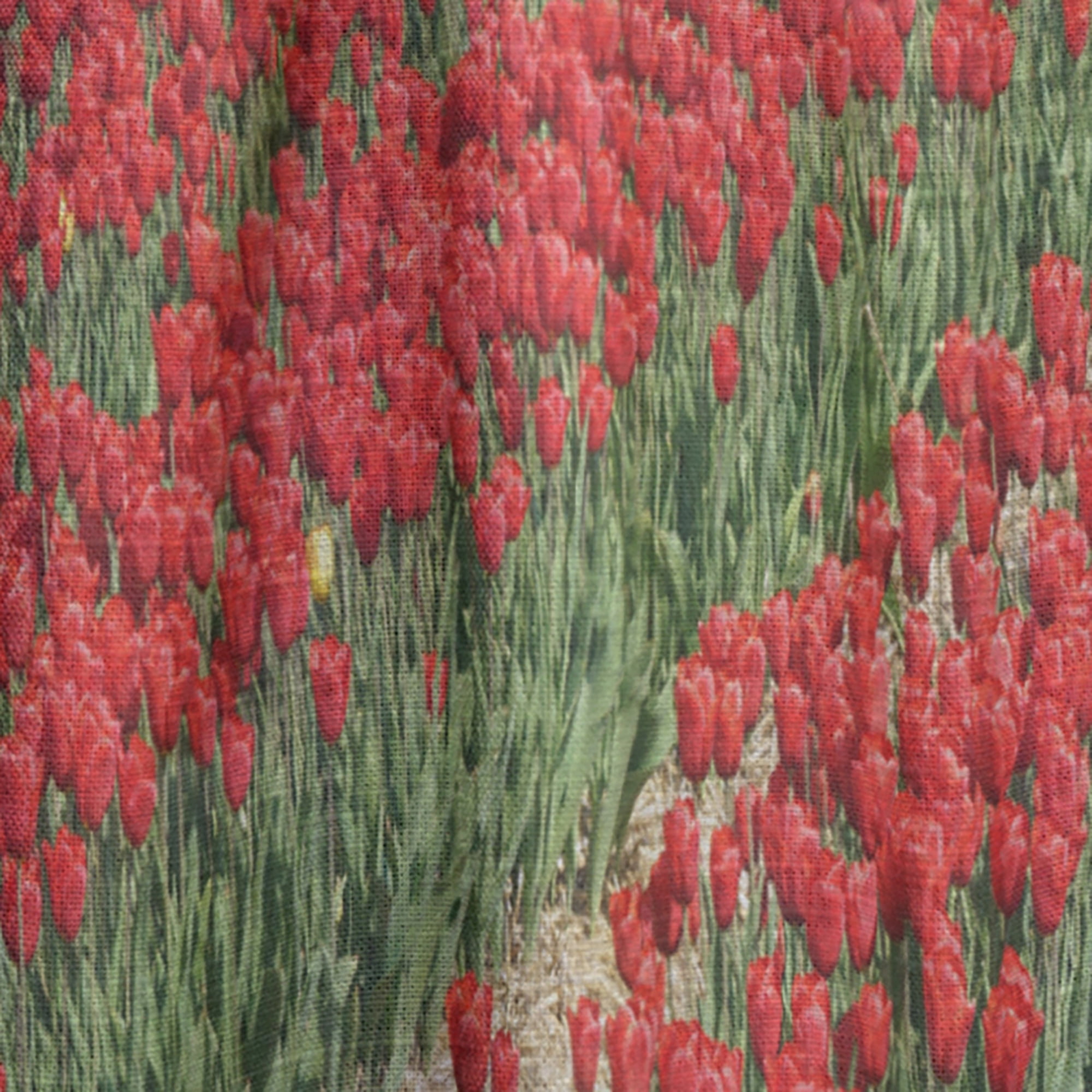 Designart 'Rows of Red Tulip Flowers' Floral Curtain Panel