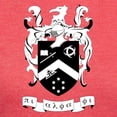 thumbnail image 3 of CafePress - Pi Alpha Phi Black And White Crest T Shirt - Womens Tri-blend T-Shirt, 3 of 4