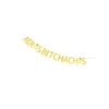 Minhero Adios Achos Gold Glitter Fiesta Party Decorations Bunting Photo Booth Props Signs Garland Decor.