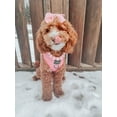 thumbnail image 5 of Dolce Rose Dog Adjustable Harness - Large, 5 of 7