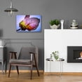 thumbnail image 5 of Epic Art 'Bougainvillea Leaf' by Pamela Plummer, Acrylic Glass Wall Art, 24"x16", 5 of 8
