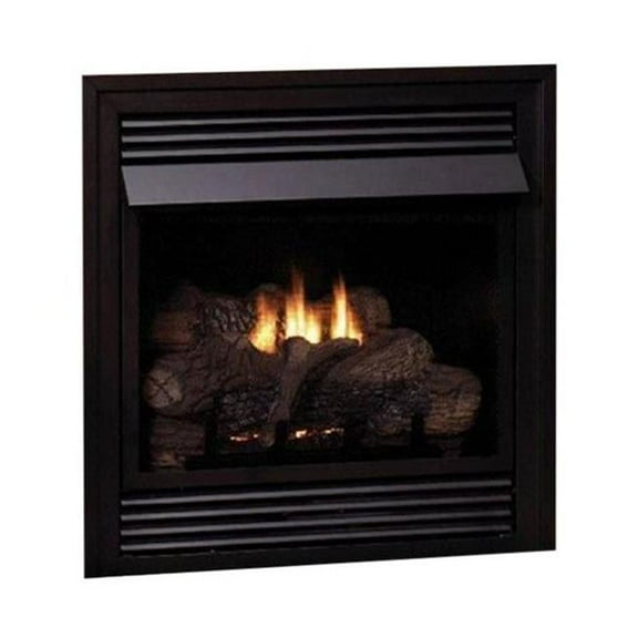 26 in. 20,000 BTU IP Control Fireplace, Natural Gas
