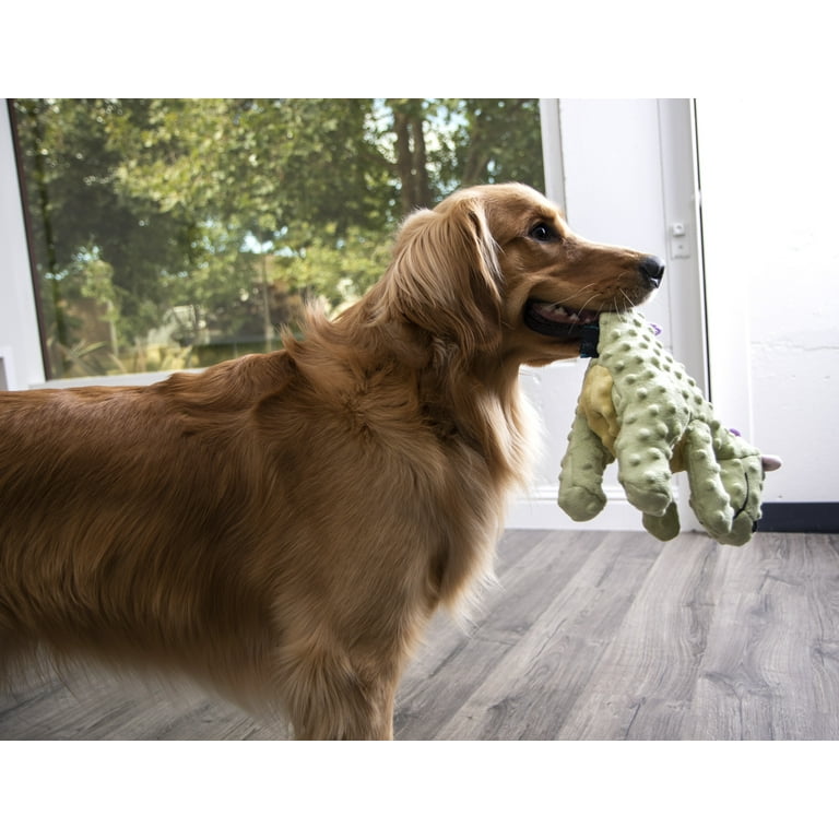 goDog Dragons with Chew Guard Technology Durable Plush Squeaker Dog Toy Large Lime Walmart