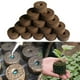 thumbnail image 4 of Bloque de suelo nutritivo con tapón de bandeja de inicio de grano de pellets de turba Jiffy de 30 mm (1 unidad), 4 of 5