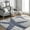Gray, variant on Thomas Paul Starfish and Striped Area Rug, 2' 8" x 10', Runner, Starfish Grey