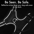 thumbnail image 3 of Arnés para perros L, rojo reflectante, antitirones, ajustable, para perros grandes, con gancho frontal para correa, ideal para senderismo, viajes en coche, American Staffordshire Bull, 3 of 6