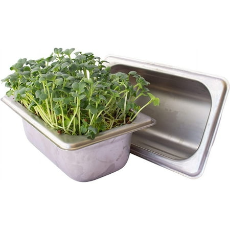 Stainless Steel Hydroponic Microgreens Growing Kit - 2 Pack - Infinitely Reusable Hydroponic Kit for Microgreen Seeds & Wheatgrass Seeds - Easy Soil-Free Sprouting System