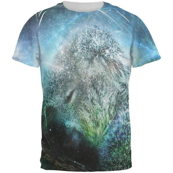 Galaxy Koala is My Spirit Animal All Over Mens T Shirt Multi LG
