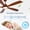 Natural Wood#6, variant on Tower Fan 60 Inch wood Ceiling Fan with light, Low Profile Ceiling Fan with Remote Control,Noiseless Reversible DC Motor with Timer60,Box Fan