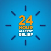 Equate Nasal Allergy Spray, 24 Hour Relief, Non-Drowsy, 120 Sprays, 16.9 ml