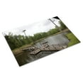 thumbnail image 3 of Print: Beautiful, Scenic Rural Monroe County, Alabama, 2010, 3 of 4