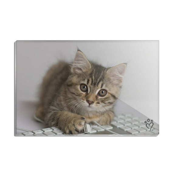 Shorthair Tabby Kitten Cat Computer Mouse Keyboard Rectangle Acrylic Fridge Refrigerator Magnet