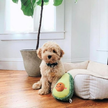 UPC: 0818786019020 | Zippy Paws 817009 Nomnomz Avocado Dog Toy