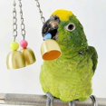 thumbnail image 3 of Budgie Toy Interesting Bird Toy Interactive Bells Toy For Small Parrot Macaws Parakeets Love Birds (random Color) 1pc, 3 of 5