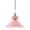 Aged Brass/Pink, variant on One Light Pendant