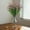 紫红色, variant on Clearance Under $3 Artificial Eucalyptus Camellia Bouquet 7-Fork Eucalyptus Camellia For Living Room Vase Filler,Plastic (C) (1Pc)
