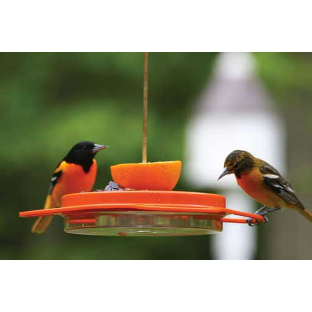 Birds ChoiceOriolefest Oriole Feeder