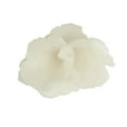 thumbnail image 5 of 6" x 4" White Polystone Small Textured Coral Sculpture with Clear Acrylic Base, by DecMode, 5 of 8