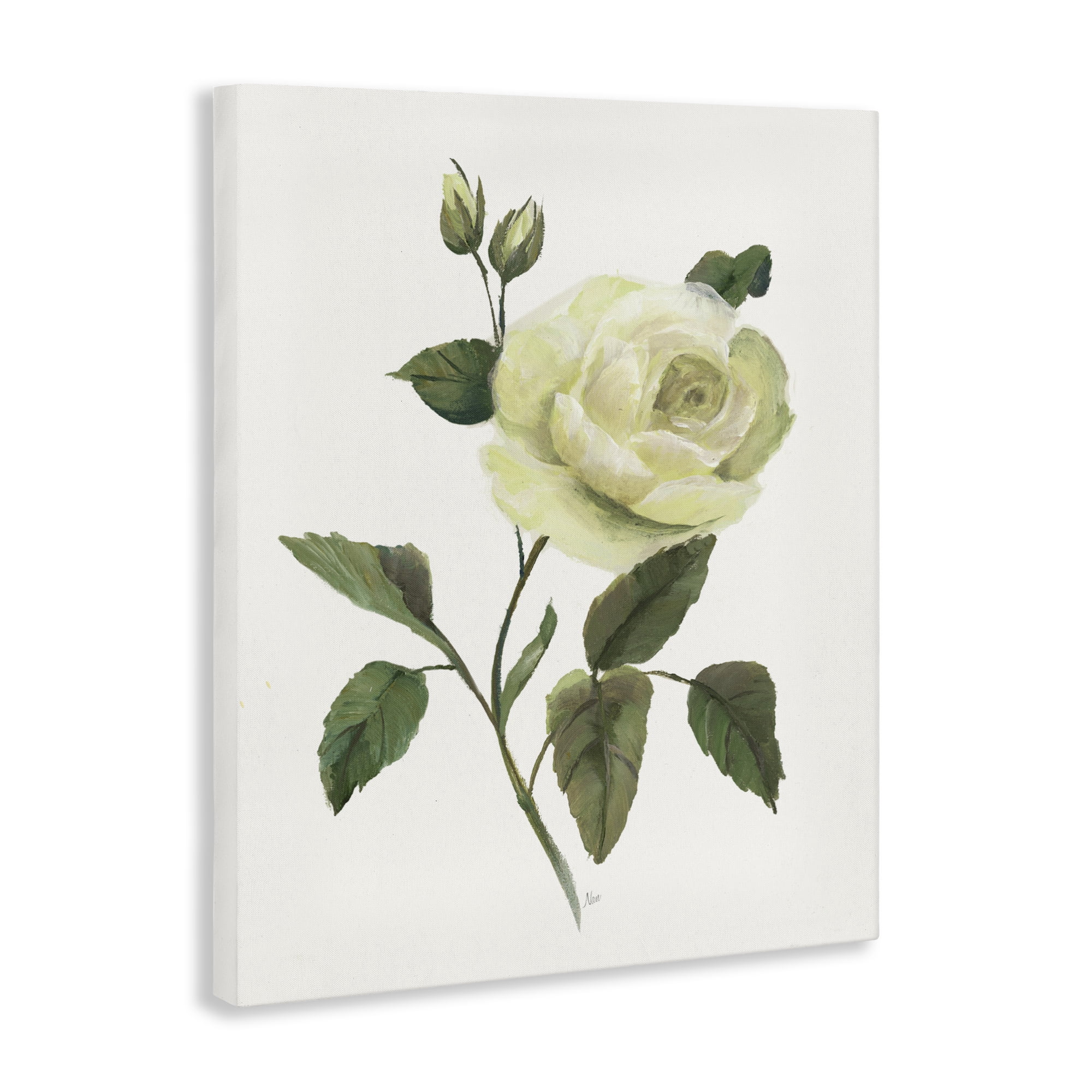 Stupell Industries Cream Garden Rose with Buds Canvas Wall Art, design by Nan