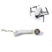 Honbobo Arm Drone Repair Parts for DJI Mavic Mini Drone (Rear Left arm)