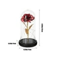 thumbnail image 5 of Lighted Artificial Flowers for Valentines Day Decorations, Red Forever Rose in A Glass Dome, Birthday Gifts for Women Mom, Valentines Gifts for Her by PALIFEUR, 5 of 7