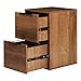 thumbnail image 3 of LUCYPAL Wooden File Cabinet 2 Drawer,Vertical Storage Filing Cabinet with Hanging Bars for Letter Size,File Storage Cabinet Used for Home Office, Brown Assemble Required, 3 of 4