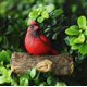 thumbnail image 4 of Simulación creativa de patio de jardín, decoraciones de pájaros rojos, adornos de decoración para exteriores, tocón de pájaro, decoración de patio, 4 of 6