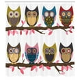 thumbnail image 3 of Ambesonne Owls Shower Curtain, Birds Retro Art Style, 69"Wx70"L, Multicolor, 3 of 3