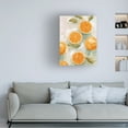 thumbnail image 3 of Emma Scarvey 'Fresh Citrus VI' Canvas Art, 3 of 3