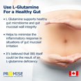 thumbnail image 3 of Probiotic + Organic Prebiotic 300gm, 3 of 5