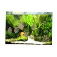 thumbnail image 1 of DOLITY 3D Aquarium Background (Tropical & Grass) Tank Picture Decoration - XXL, 1 of 9