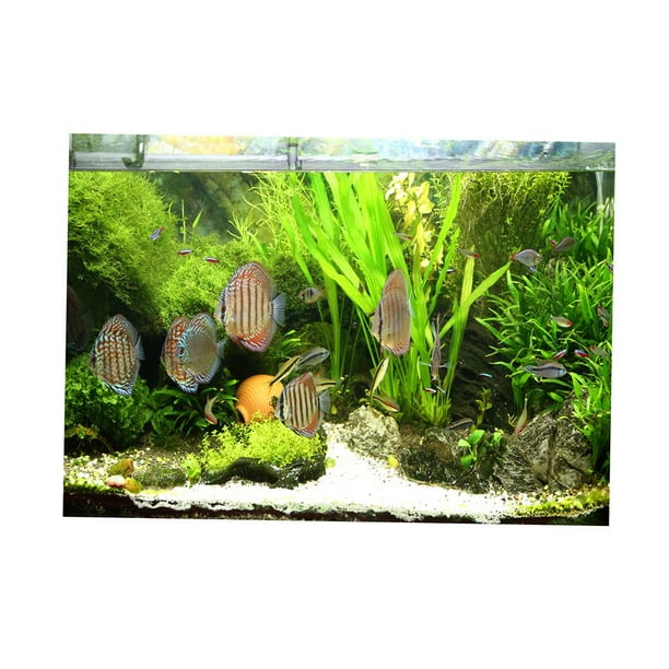 3D Fish Tank Background The Underwater World Aquarium Backdrop Sticker