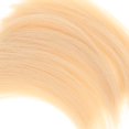 thumbnail image 2 of Resin Long Grass Model Making Scale Making Material Toys Grass Resin Landscaping Scene Layout Supplies for Sand Table Light Khaki, 2 of 9