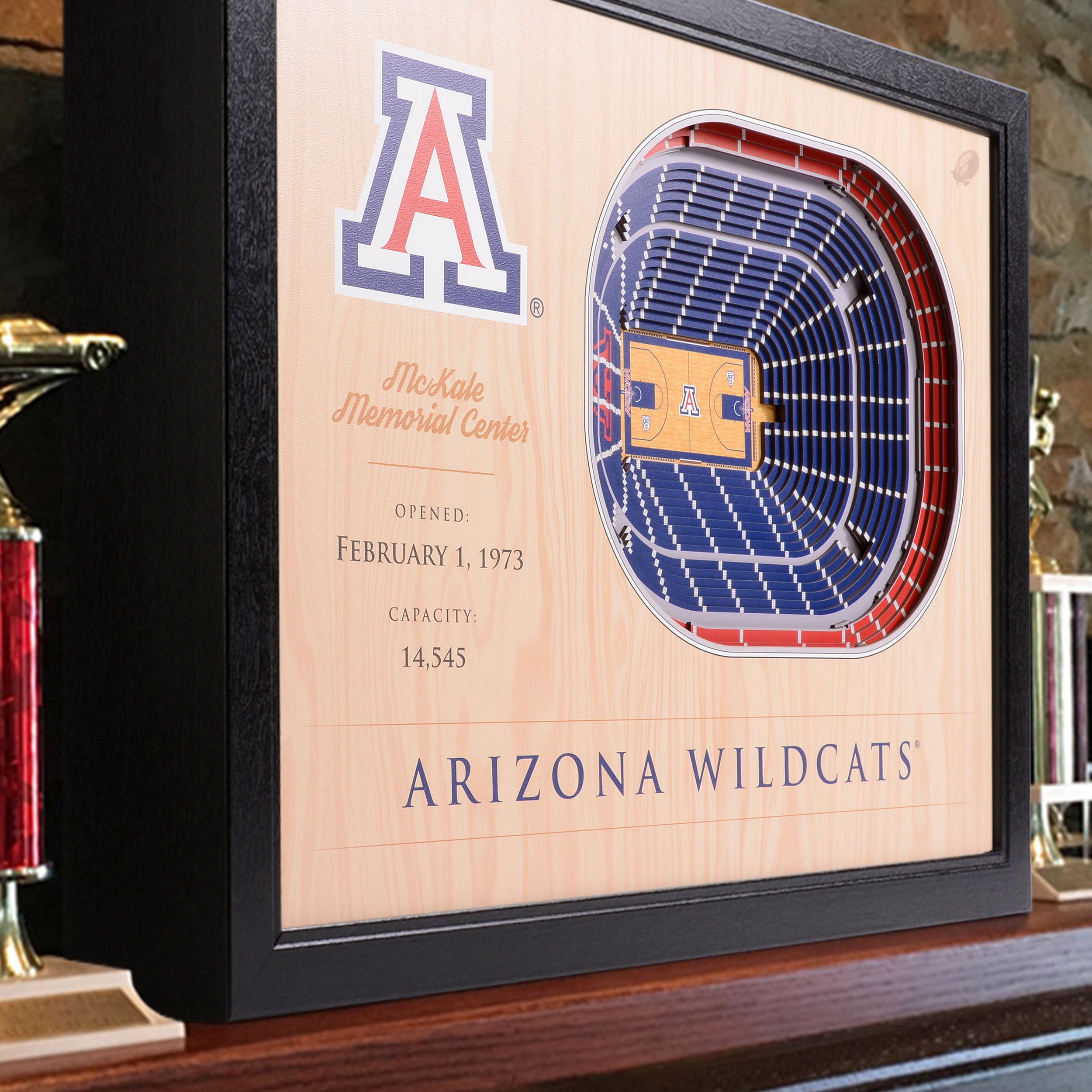 YouTheFan NCAA Arizona Wildcats BB 25-Layer Stadiumview Wall Art