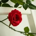 thumbnail image 5 of BalsaCircle 6 feet Green Garland 5 Red Silk Rose Flowers Leaves Wedding Party, 5 of 8