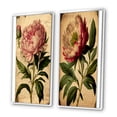 thumbnail image 3 of Designart "Vintage Pink and White Peony Nostalgic Beauty I" Floral Peony Framed Wall Art Set Of 2 - Modern Pink Frame Gallery Set For Office Decor, 3 of 6