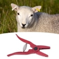 thumbnail image 1 of Ear Tag Applicator, Easy Operation Livestock Ear Tag  Ergonomic  For Farm, 1 of 8