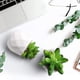 thumbnail image 2 of Paquete de 4 mini plantas suculentas artificiales en macetas, juego de suculentas falsas con macetas de cerámica blanca, plantas suculentas artificiales en maceta para el hogar, 2 of 5
