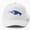 White, variant on Glass Catfish Baseball Cap, Ocean Animal Hat Style