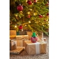 thumbnail image 3 of Miracle-Gro for Christmas Trees, 3 of 14