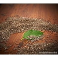thumbnail image 4 of Healthworks Chia Seeds Raw Organic, 1lb, 4 of 4