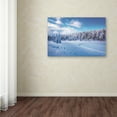 thumbnail image 3 of Trademark Fine Art 'Into the Spot' Canvas Art by Philippe Sainte-Laudy, 3 of 3