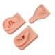 thumbnail image 5 of Piercing De Silicona, Modelo De Práctica De Perforación, Simulación Y Flexible, Modelo De Orejas De Nariz Para Enseñanza De Exhibición, 5 of 7