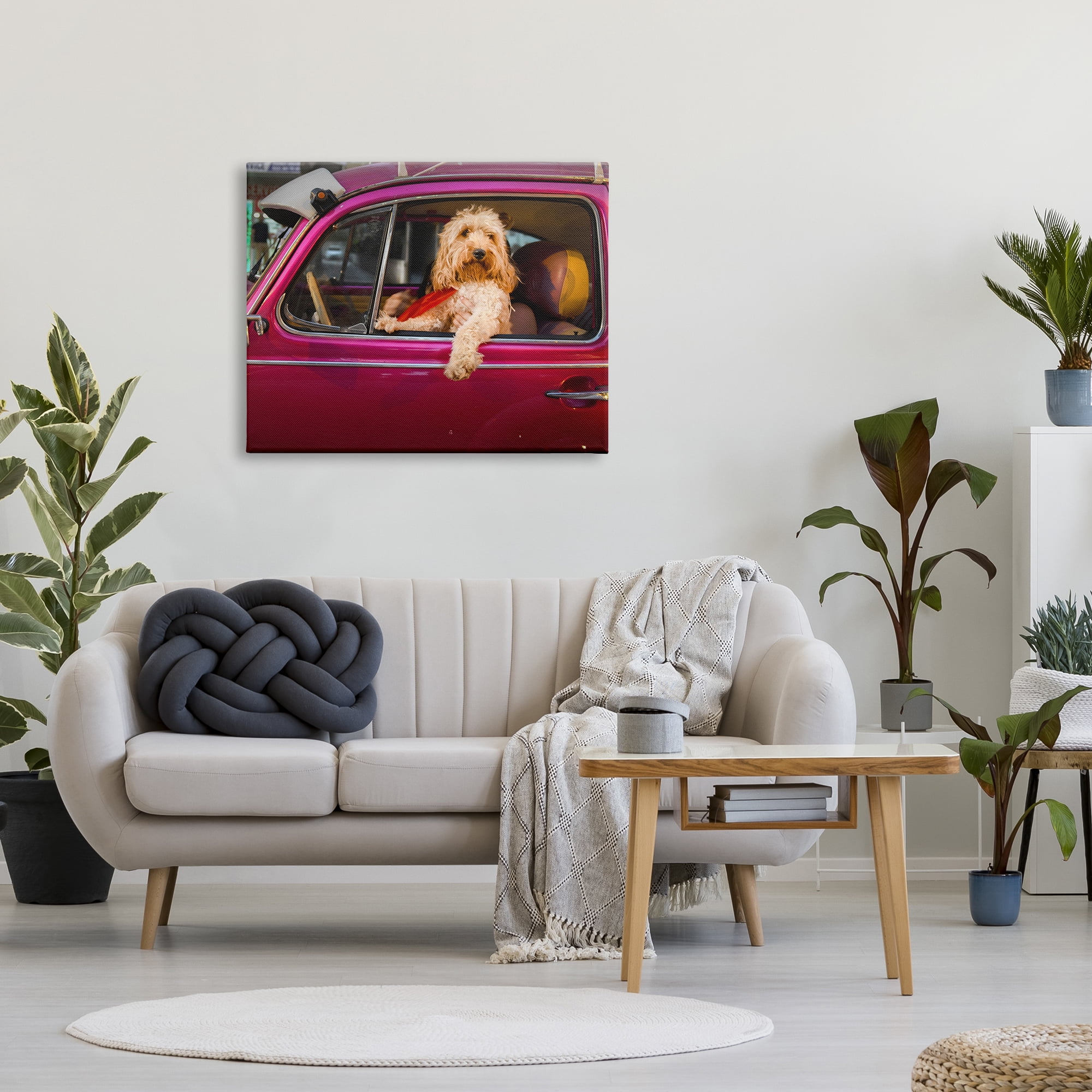 Stupell Industries Funny Chauffeur Dog Animals & Insects Photography Gallery Wrapped Canvas Art Print Wall Art, 40 x 30