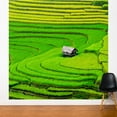 thumbnail image 5 of ADZif Fresk Rice Field Wall Mural, 5 of 5