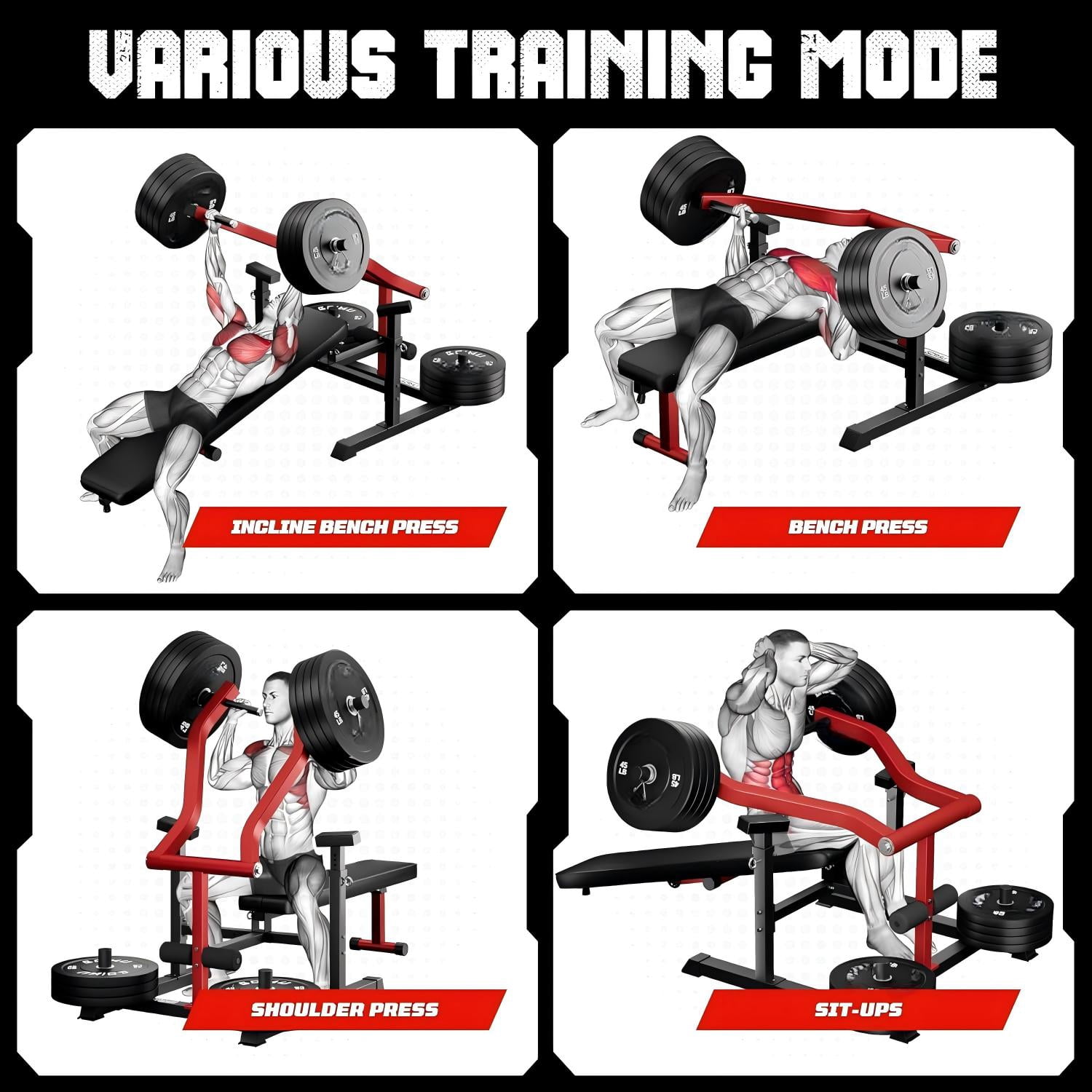 Chest Press Machine, Weight Bench Press Machine with Independent Arms, Adjustable Flat Incline Bench Press for Chest, AB Workout Home Gym Equipment