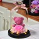 thumbnail image 1 of Precioso oso de peluche de rosa eterna preservada en cúpula de cristal de corazón con luz LED, decoración de boda, regalo del Día de la madre para mujeres y niñas, rosa esquí esquí Gafas de esquí, 1 of 3