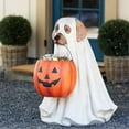 thumbnail image 4 of Support de Bol à Collations Citrouille Halloween, Support de Bol à Bonbons Fantôme Chien Taille Réelle, Plat à Collations, Grand Bol à Bonbons Citrouille Halloween, 4 of 5