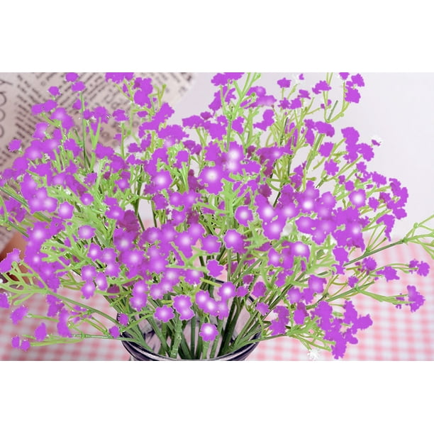 Preserved Gypsophila Flowers All Colors Dry Baby Breath Wholesale Baby  Breath Flowers Dried Flowers - China Preserved Gypsophila Flowers and Dry  Baby Breath price