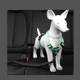 thumbnail image 4 of Arnés para perros multifunción 4 en 1 resistente y duradero estilo chaleco, correa para perros Shiba Inu Corgi Labrador, accesorios para perros Arnes Para Perro, 4 of 5